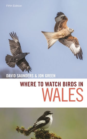 Where To Watch Birds In Wales Jon 1129