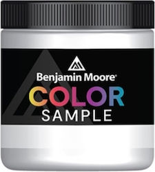 Benjamin Moore Plastic Paint for Interior Use Color Sample 250ml