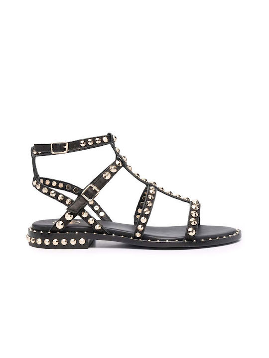 Ash Women's Sandals Black