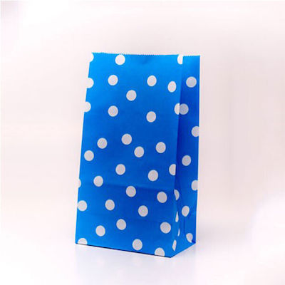 Blaues Etui (24x13x8cm)