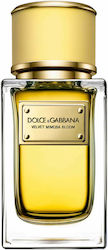 Dolce & Gabbana Velvet Mimosa Bloom Eau de Parf...