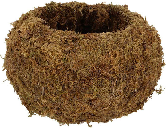 Esschert Design Ball Γλάστρα Πλαστική Πράσινη