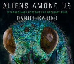 Aliens Among Us Extraordinary Portraits Ordinary Bugs Daniel Kariko 0403