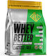 GoldTouch Nutrition Whey Better Concentrate Πρωτεΐνη Ορού Γάλακτος Χωρίς Λακτόζη με Γεύση Chocolate 908gr