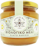 Αρκαδικό Μέλι Organic Product Honey Fir Vanilla 450gr