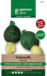 Gemma Seeds Pumpkinς Zucchini 3gr