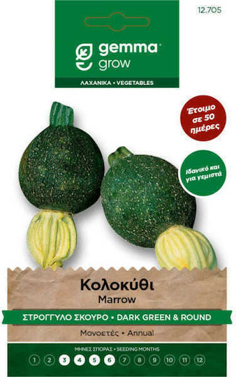 Gemma Seeds Pumpkinς Zucchini 3gr