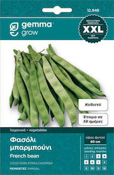 Gemma Samen Bohne Schwarzer Rotbarbe 40gr