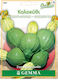 Gemma Seeds Pumpkinς Zucchini 3gr