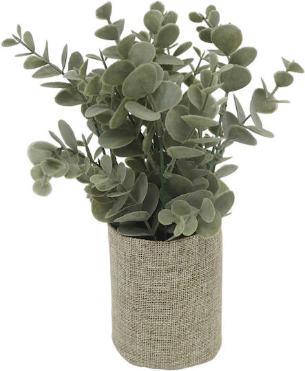 Plantă Artificială în Ghiveci Mic Eucaliptus Green 15.3cm Ankor