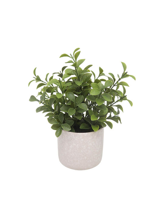 Ankor Artificial Plant in Small Pot Beige 1pcs