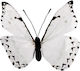 Easter Butterfly Paper 25x25pcs in White color