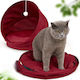 Bett Katze Rot