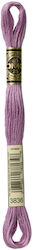 Mullienne Nr. 3836 (117mc_3836)