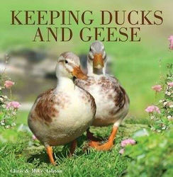 Keeping Ducks And Geese Mike Ashton