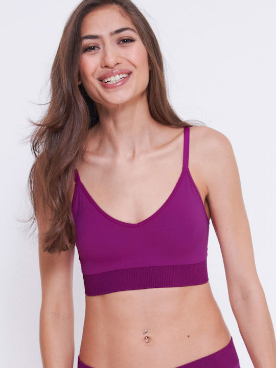 Ever Infused Women's Bra without Padding Purple