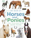 My Book Of Horses And Ponies: A Fact-filled Guide To Your Equine Friends