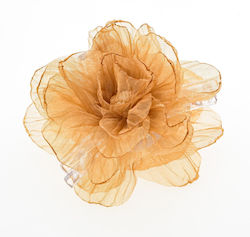 with Flower Brown