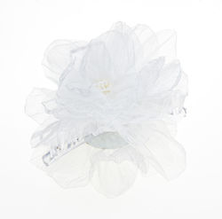 with Flower White