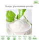 HealthTrade Glukose Pulver Bio-Produkt 500gr HTSF300