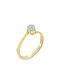 Xryseio Single Stone from White Gold 14K