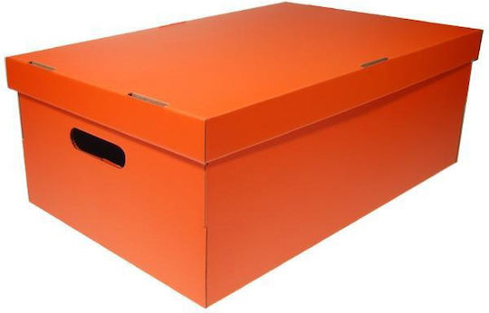 Next Colors File Box with Lids