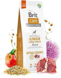 Brit Care Junior 12kg Ξηρά Τροφή Σκύλων Μεγαλόσωμων Φυλών με Αρνί