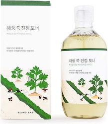 Round Lab Mugwort Calming Υγρό Τόνωσης Προσώπου 300ml Round Lab Mugwort Calming Υγρό Τόνωσης Προσώπου 300ml