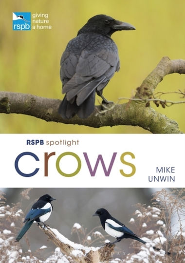 Rspb Spotlight Crows Rspb Spotlight Crows