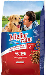 Morando Miglior Dry Food for Dogs Morando Miglior Dry Food for Dogs