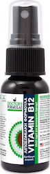 Doctor's Formulas Vitamin B12 Spray Vitamin 1mg 30ml Doctor's Formulas Vitamin B12 Spray Vitamin 1mg 30ml