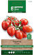 Gemma Seeds Tomatoς Santorini 1gr