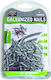 AGC Nail