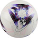 Nike Mini Soccer Ball