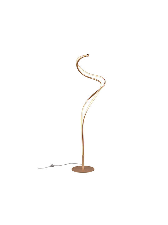 Trio Lighting LED Floor Lamp H160cm. Gold