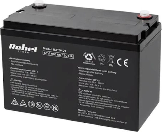 Rebel UPS Battery with Capacity 100Ah and Voltage 12V BAT0421 1pcs