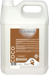 Șampon de nucă de cocos Diamex 5 Lt