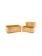 Iliadis Metallic Decorative Box
