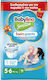 Babylino Swim Diapers Sensitive No. 5+ for 14+ kgkg 14pcs