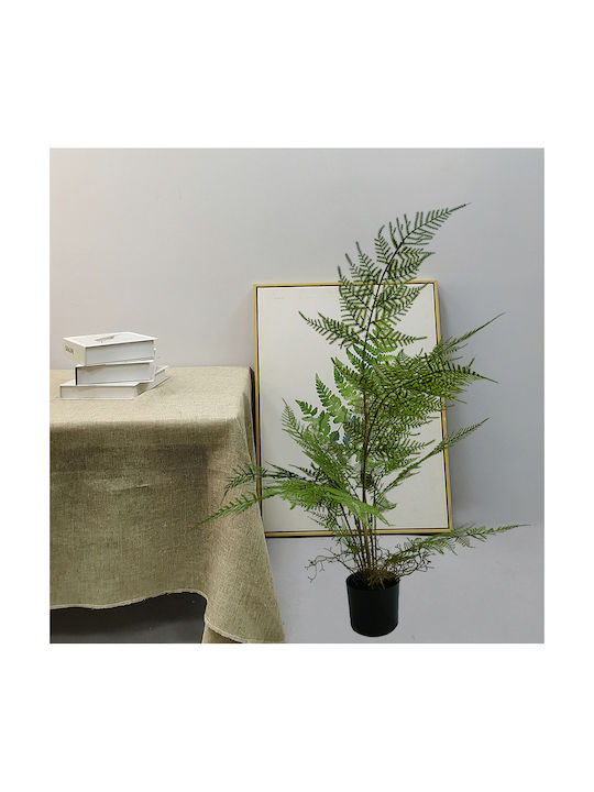 Φτέρη σε Γλάστρα 90cm Home & Camp