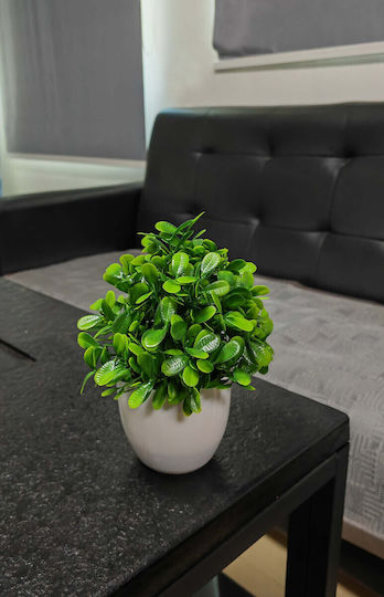 Plantă Artificială în Ghiveci Mic Green 23cm Home & Camp