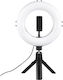 HAMA Spotlight Smart Ring Light