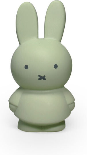 AP Cutiuta de bani Plastic Verde