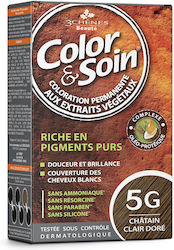 3Chenes 5g Light Golden Brown 3Chenes 5g Light Golden Brown