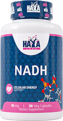 Haya Labs NADH 10mg 30 capsule veget