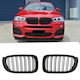 Carro Car Decorative Mask BMW X3 (F25) / X4 (F26) / M4 / X3 / X4