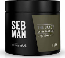 Sebastian Professional Seb Man the Dandy Shiny ...