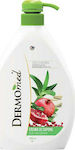 Dermomed Aloe and Pomegranate Creme Seife 1000ml