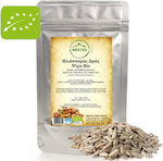 Nostos Pure Organic Sunflower Seeds Raw Peeled Unsalted 1000gr