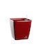 Hydrostab Topf Kunststoff Passion Red 22x22x21cm.
